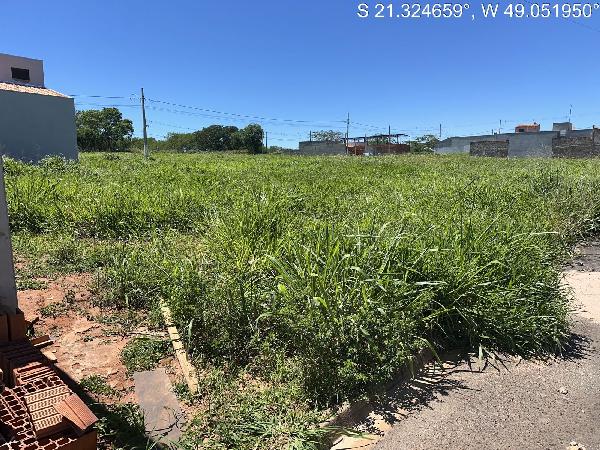 Terreno - Venda, RESIDENCIAL FARINA, ITAJOBI, SP